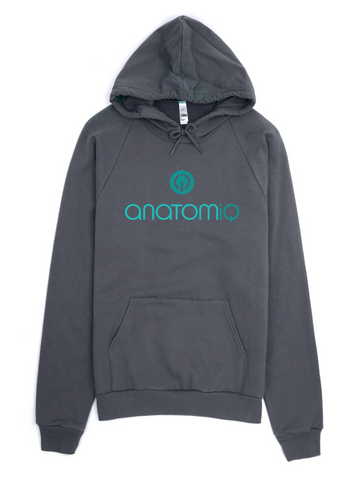 Premium Fleece Logo Pullover Hoodie